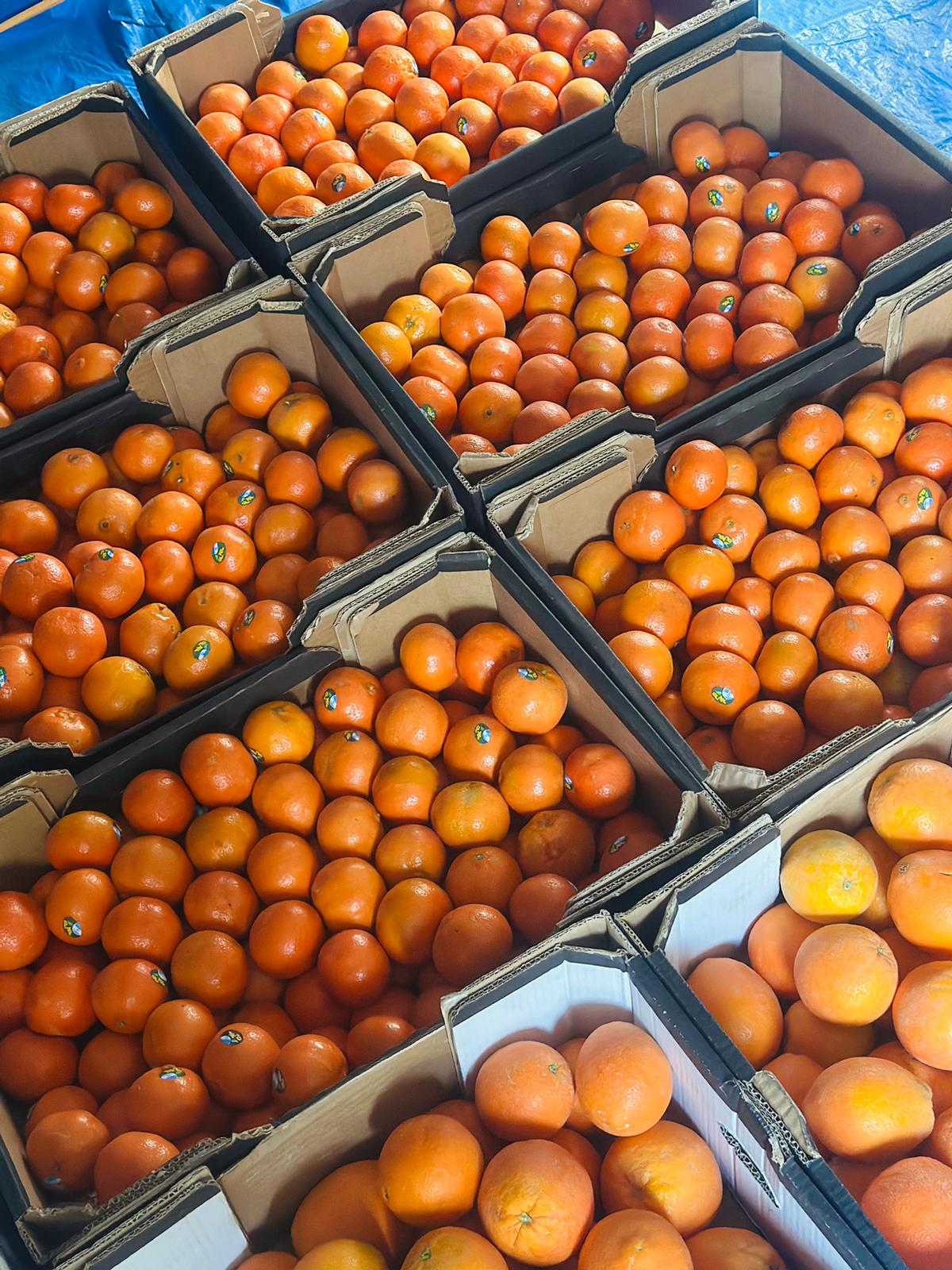 صورة الاستجابة للطوارئ